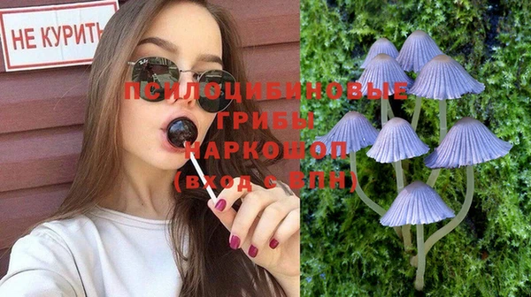 не бодяженный Аркадак