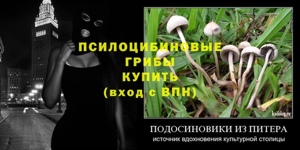 трава Армянск