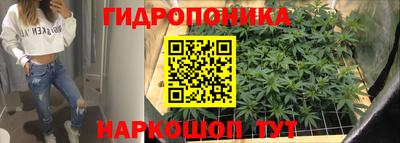 сатива Камышлов