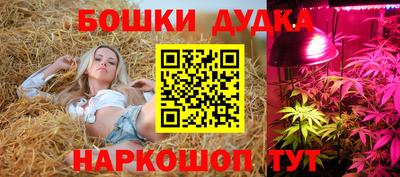 прущие грибы Канаш