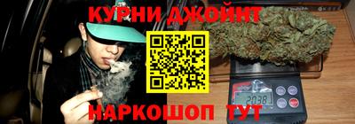 сатива Камышлов