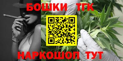 прущие грибы Канаш