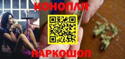 прущие грибы Канаш