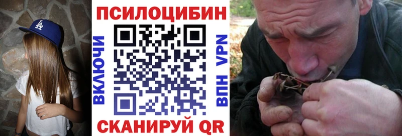 гидра вход  даркнет телеграм  Галлюциногенные грибы Cubensis  Междуреченск 