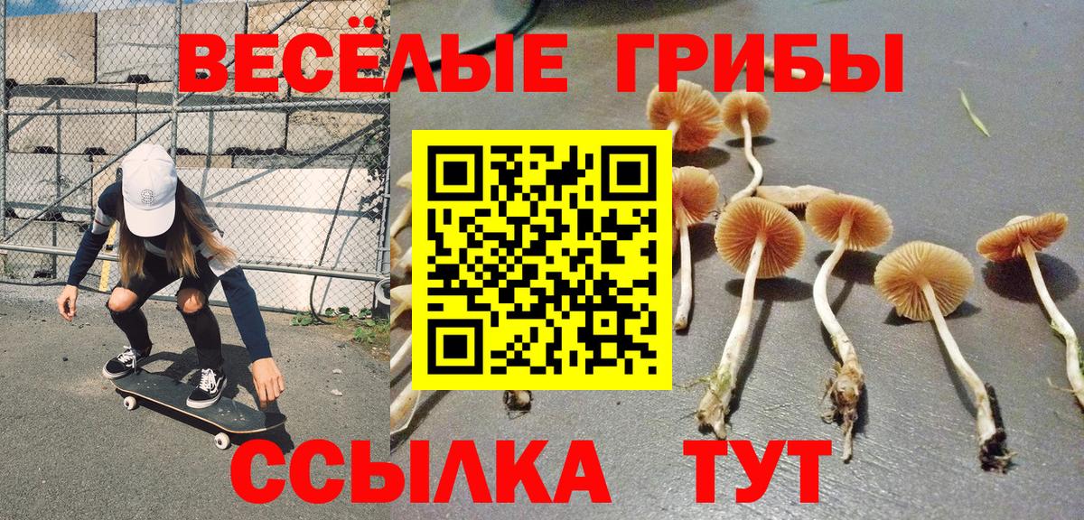 Галлюциногенные грибы ЛСД  Вход с VPN  Псилоцибиновые грибы Cubensis  Междуреченск 